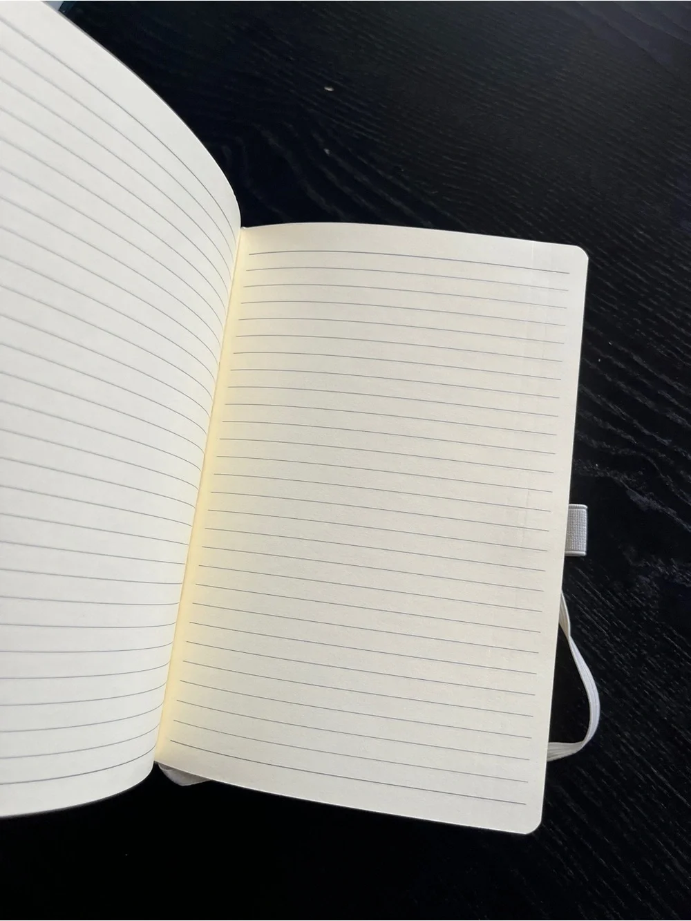 HBO Westworld Reflective Silver Journal Notebook Journalbooks Promo